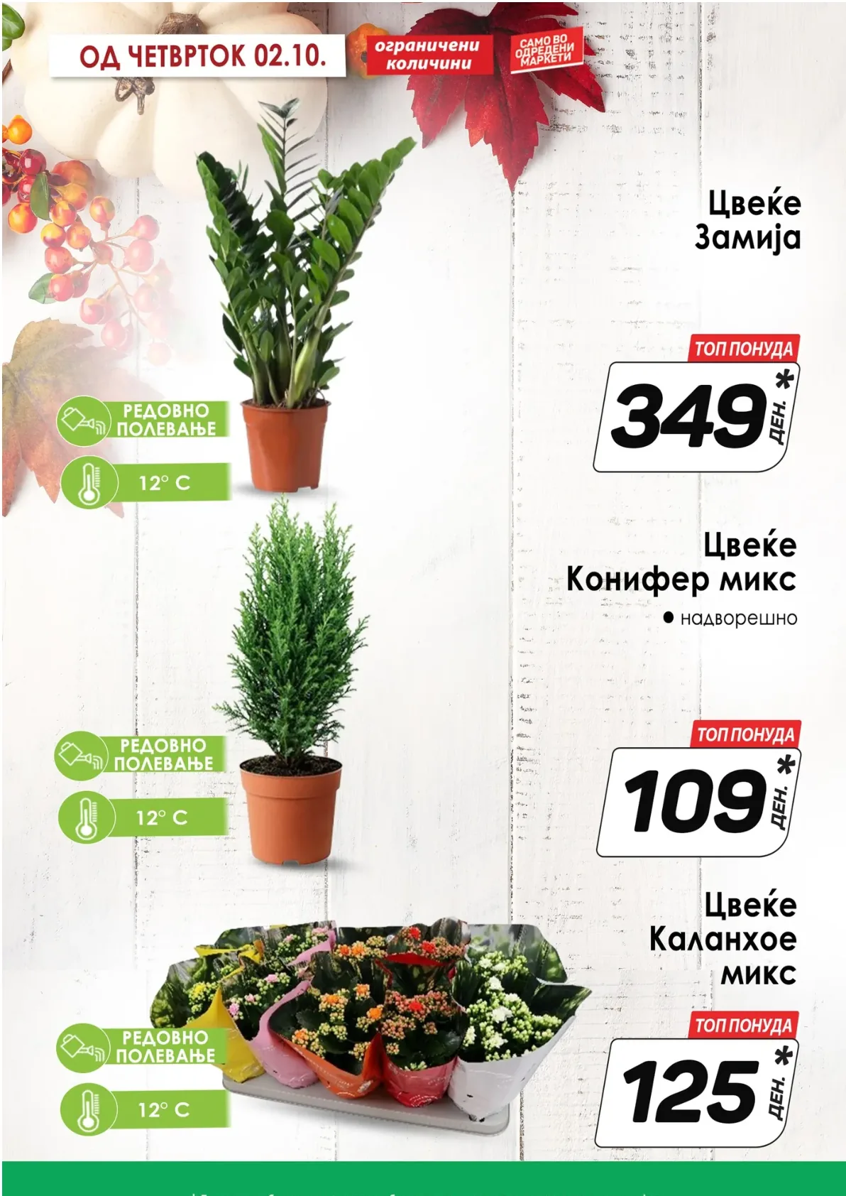 Kam (2025-09-29 - 2025-10-05) KAM - 29.09.2025 - 05.10.2025 страница 12