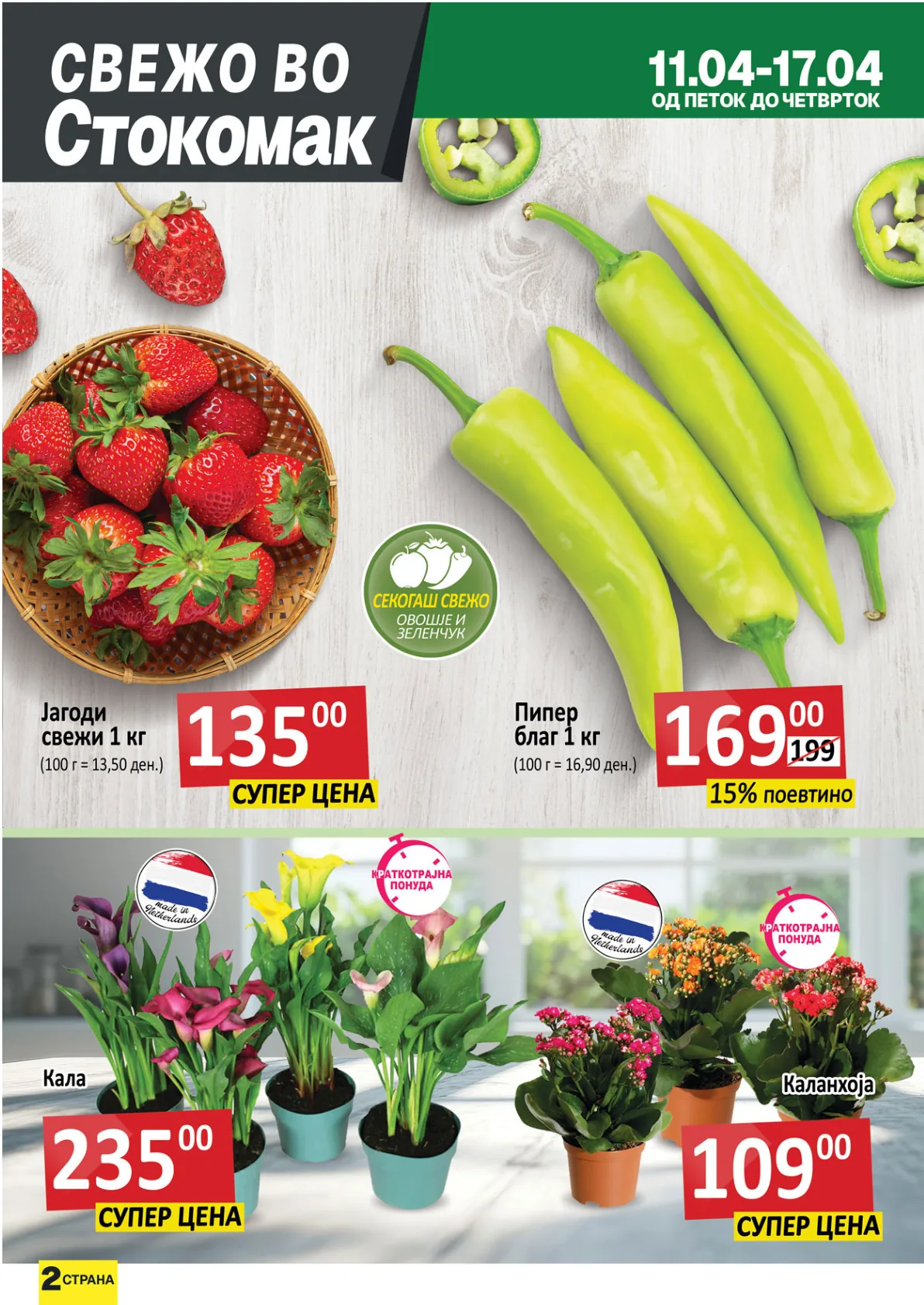 СТОКОМАК КАТАЛОГ страница 2