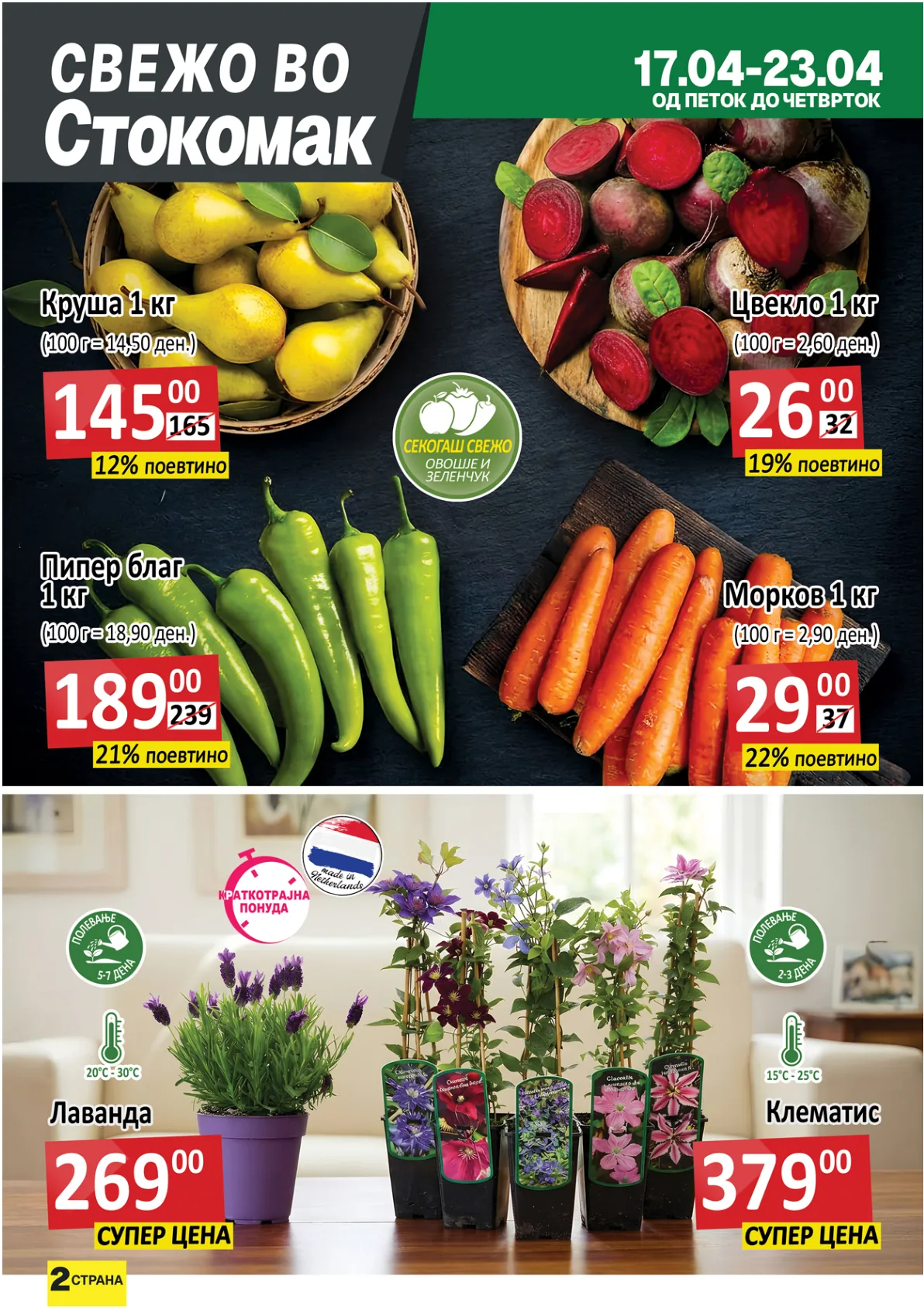 СТОКОМАК КАТАЛОГ page 2