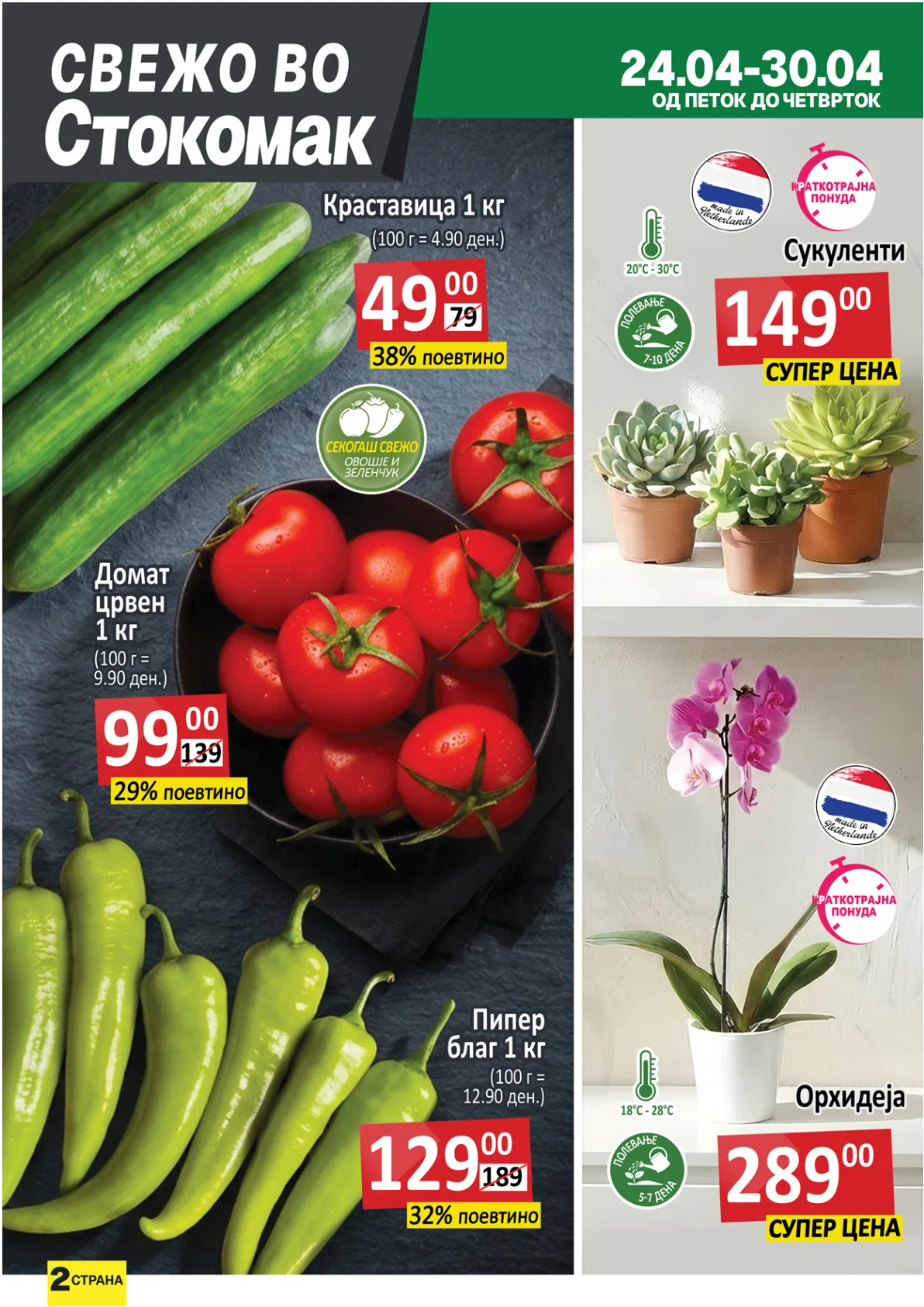 СТОКОМАК КАТАЛОГ страница 2